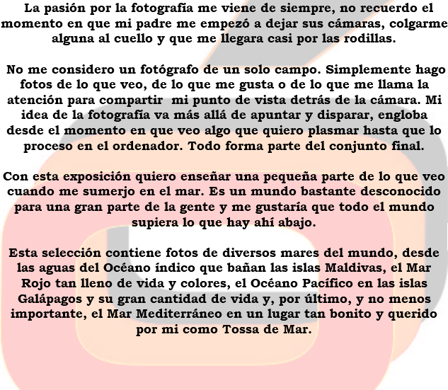 &nbsp;La pasión por la fotografía me viene de siempre, no recuerdo el momento en que mi padre me empezó a dejar sus cámaras, colgarme alguna al cuello y que me llegara casi por las rodillas. No me considero un fotógrafo de un solo campo. Simplemente hago fotos de lo que veo, de lo que me gusta o de lo que me llama la atención para compartir mi punto de vista detrás de la cámara. Mi idea de la fotografía va más allá de apuntar y disparar, engloba desde el momento en que veo algo que quiero plasmar hasta que lo proceso en el ordenador. Todo forma parte del conjunto final. Con esta exposición quiero enseñar una pequeña parte de lo que veo cuando me sumerjo en el mar. Es un mundo bastante desconocido para una gran parte de la gente y me gustaría que todo el mundo supiera lo que hay ahí abajo. Esta selección contiene fotos de diversos mares del mundo, desde las aguas del Océano índico que bañan las islas Maldivas, el Mar Rojo tan lleno de vida y colores, el Océano Pacífico en las islas Galápagos y su gran cantidad de vida y, por último, y no menos importante, el Mar Mediterráneo en un lugar tan bonito y querido por mi como Tossa de Mar. 